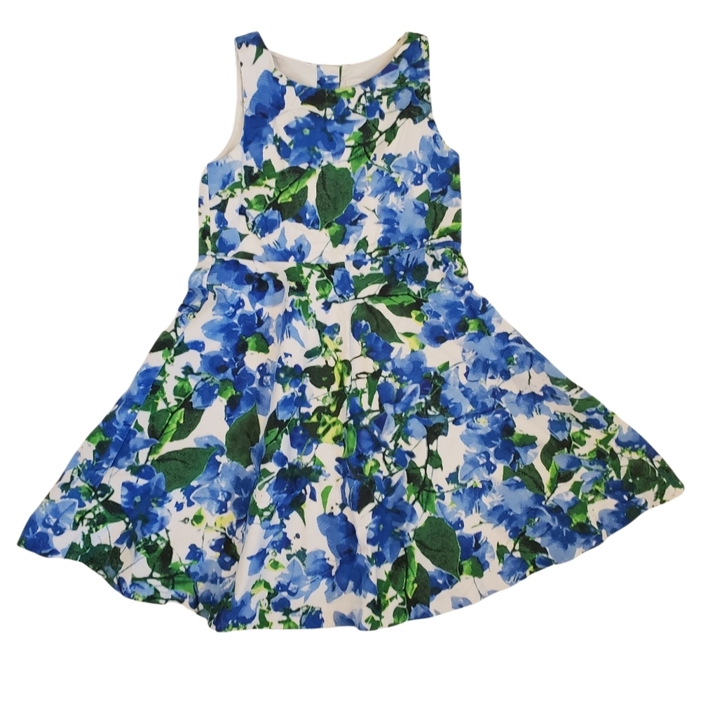 Milly‎ Minis Girls Size 5 Blue Floral Dress